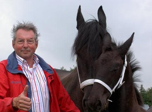 Friese paarden op de Wildenburg