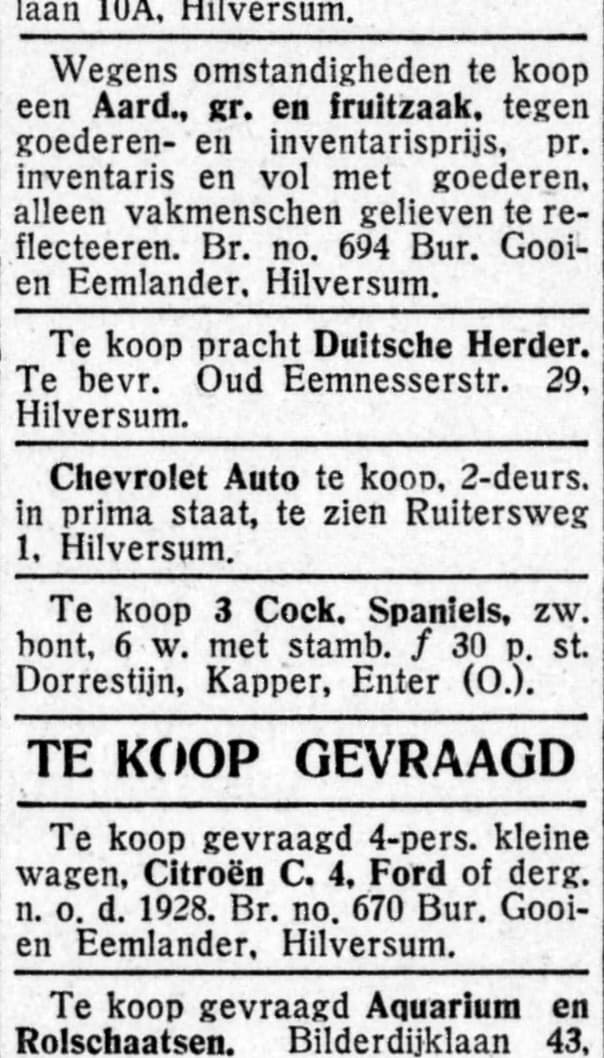 Cockerspaniëls te koop